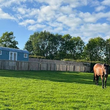 Wee Shepherds Hut Maybole Екстер'єр фото